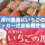 佐賀のいちごの駅（岸川農園）にいちごのロッカー式自販機登場！